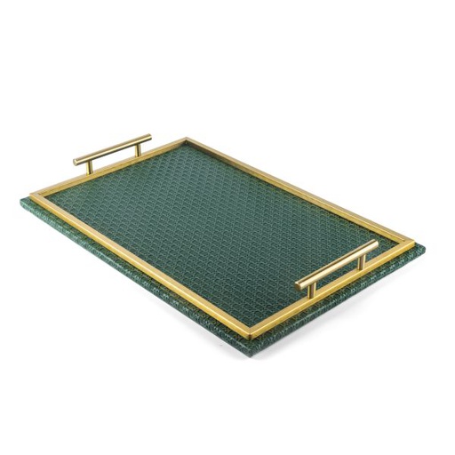 [SUZ1027]  Leather Tray From Rattan - Green